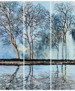 SLH Winter Reflection