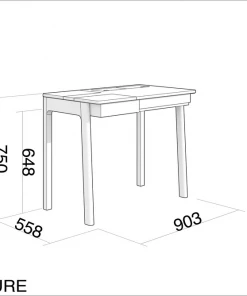 Karpenter Circa Desk - European Oak