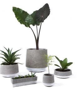 SLH DÉCOR Concrete Planter Large White Band