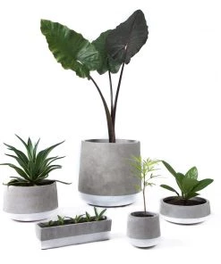 SLH DÉCOR Concrete Planter Small Black Band