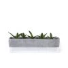 SLH Concrete Planter Rectangle White Band