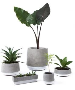 SLH Concrete Planter Rectangle White Band