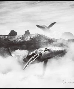 SLH Whale Gliding DÉCOR