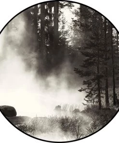 SLH Artwork Forest Mist