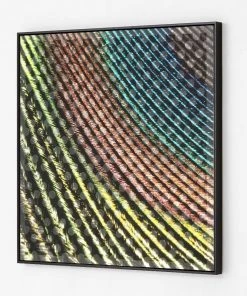 SLH Peacock Plume DÉCOR