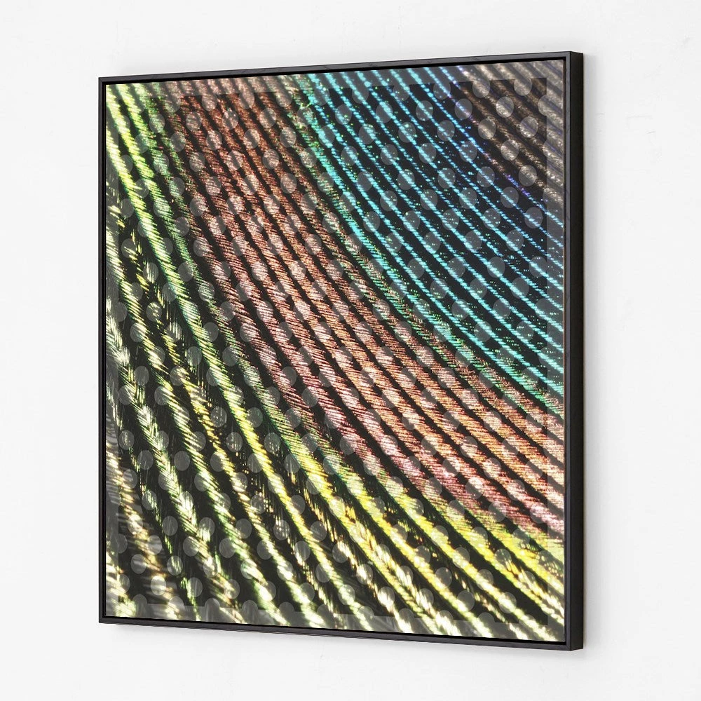 SLH Peacock Plume DÉCOR 1 SLH Peacock Plume DÉCOR