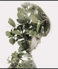 SLH Silhouette Flowerchild DÉCOR