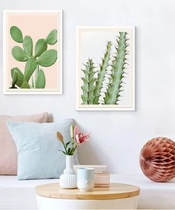 SLH Cactii Detail 5 SLH Cactii Detail