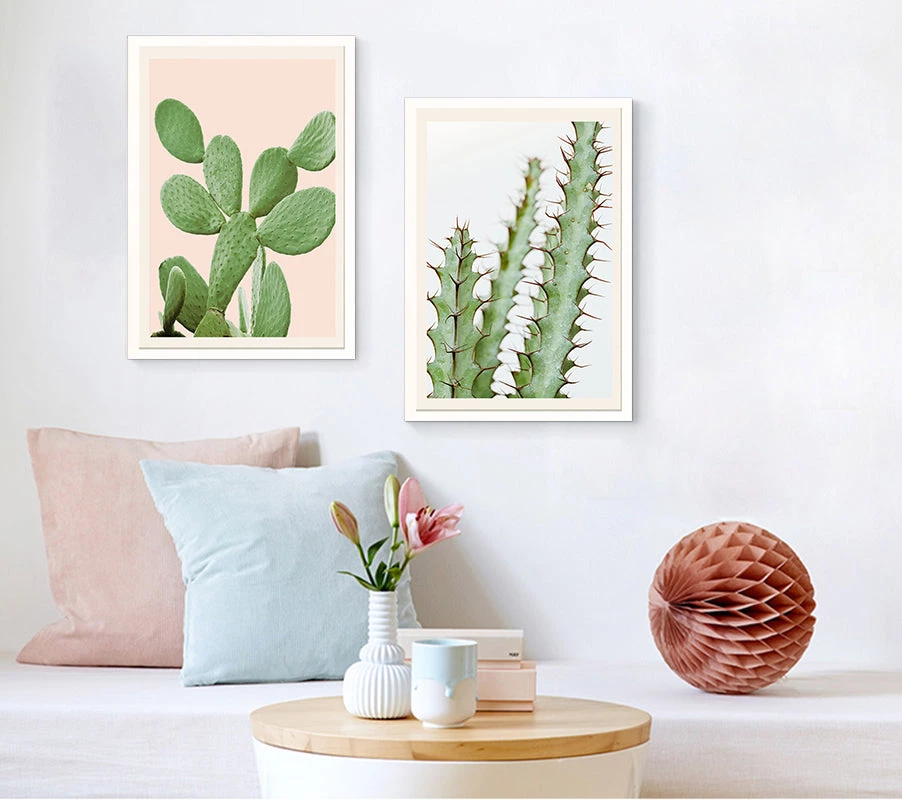 SLH Cactii Detail 3 SLH Cactii Detail