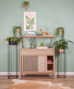 SLH Artwork Prickly Pear