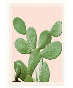 SLH Artwork Prickly Pear