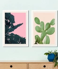 SLH Artwork Prickly Pear