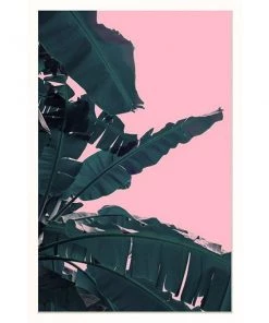 SLH Banana Leaf Artwork