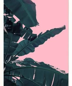 SLH Banana Leaf Artwork 7 SLH Banana Leaf Artwork