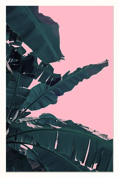 SLH Banana Leaf Artwork 4 SLH Banana Leaf Artwork