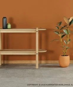 Karpenter East Console With Shelf European Oak