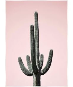 SLH Artwork Saguaro Blush Print