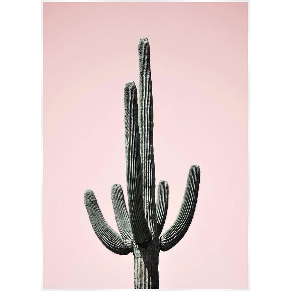 SLH Artwork Saguaro Blush Print 1 SLH Artwork Saguaro Blush Print