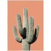 SLH Saguaro Sunset Print