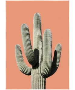 SLH Saguaro Sunset Print