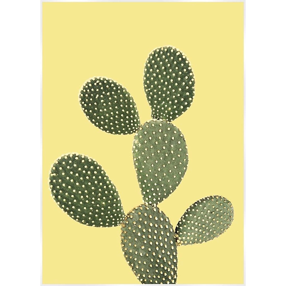 SLH Prickly Pear Sunshine Print 1 SLH Prickly Pear Sunshine Print