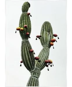 SLH Peruvian Apple Cactus Print