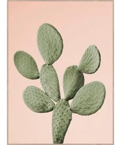 SLH Barbary Fig Print