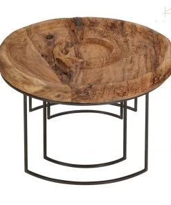 Kleo INDOOR Suar Wood & Powdercoated Iron Round Coffee Table Set Of 2