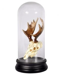 SLH DÉCOR Tribal Moose Skull Dome