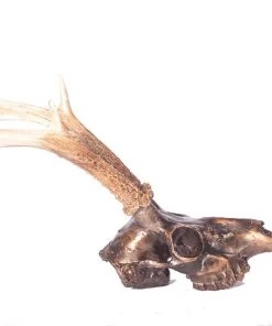 SLH Tribal Metallic Deer Skull
