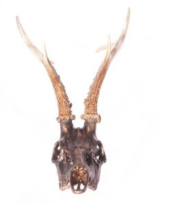 SLH Tribal Metallic Deer Skull