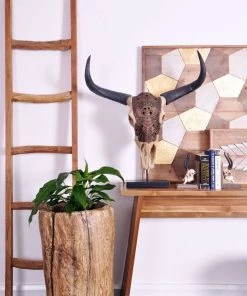 SLH Driftwood Ladder INDOOR