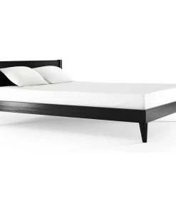 Karpenter Vintage Queen Bed - Satin Black INDOOR